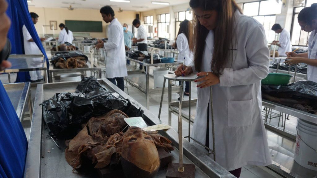 real cadavers in Davao medical college